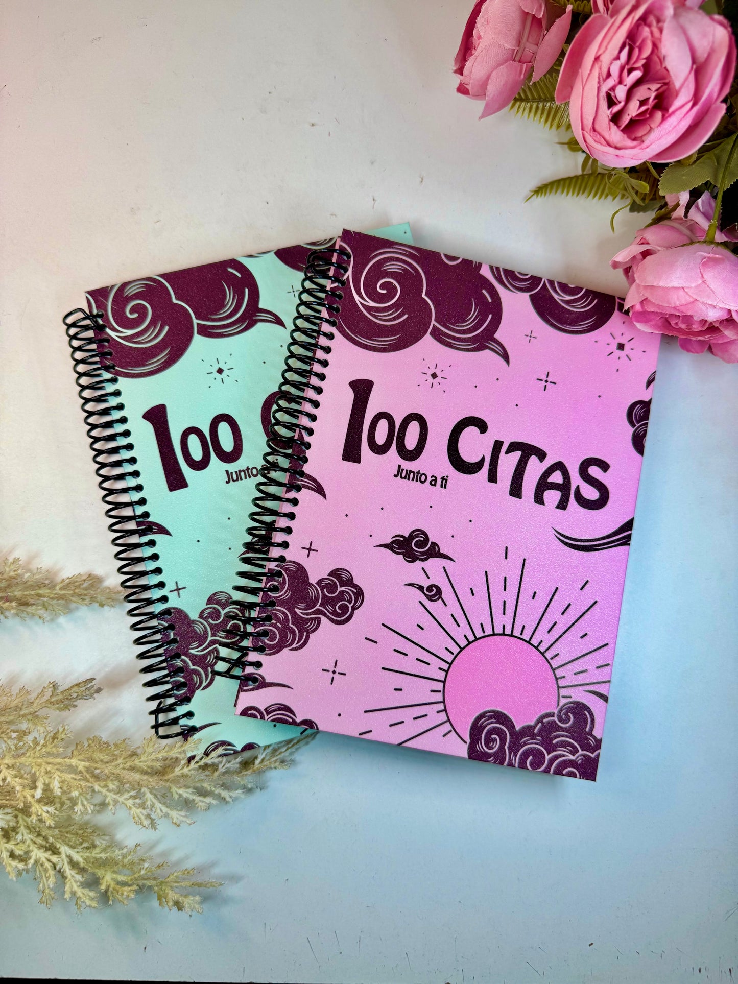 Planner 100 Citas