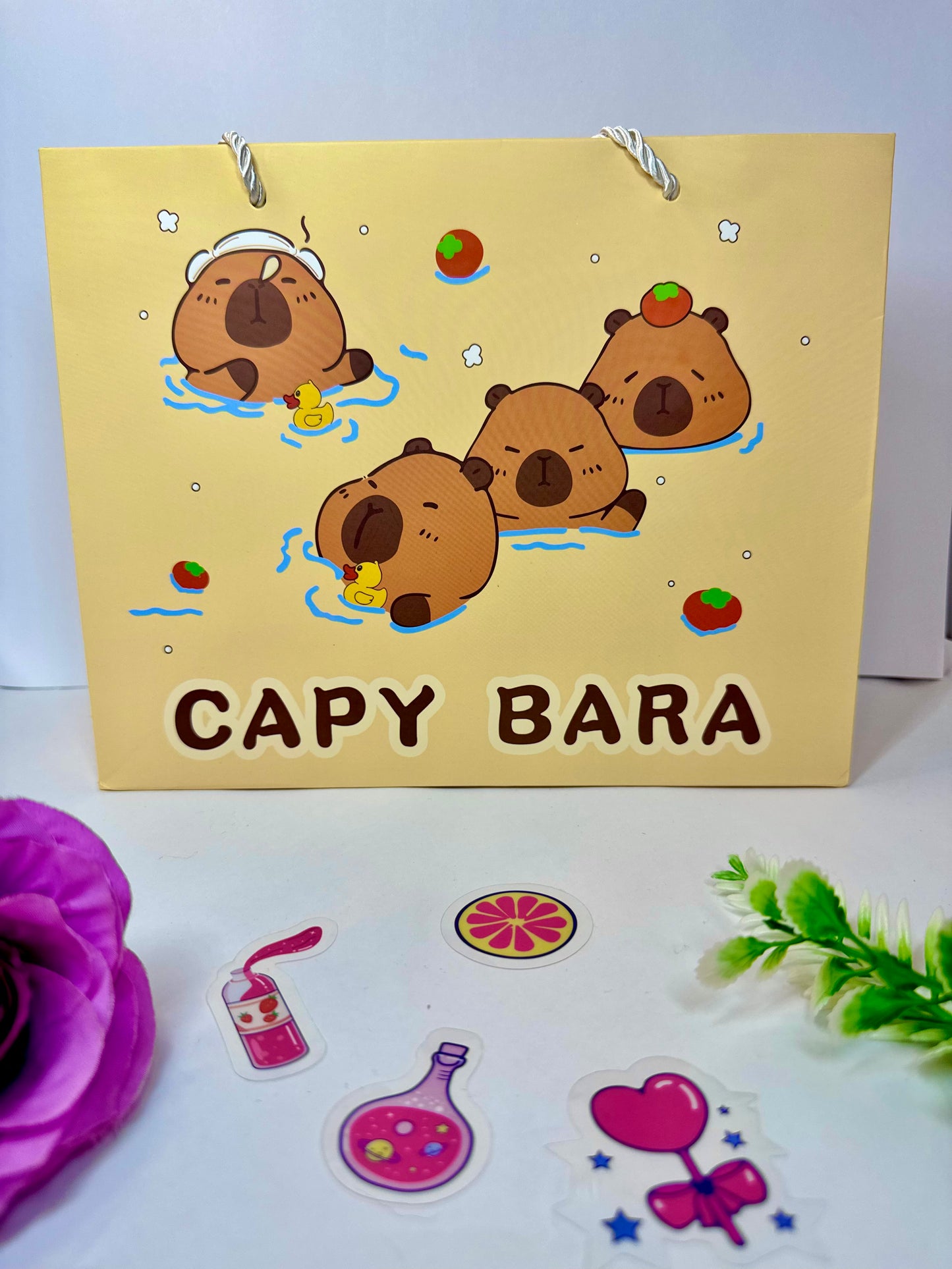 Bolsa de Regalo Capibara Pequeña