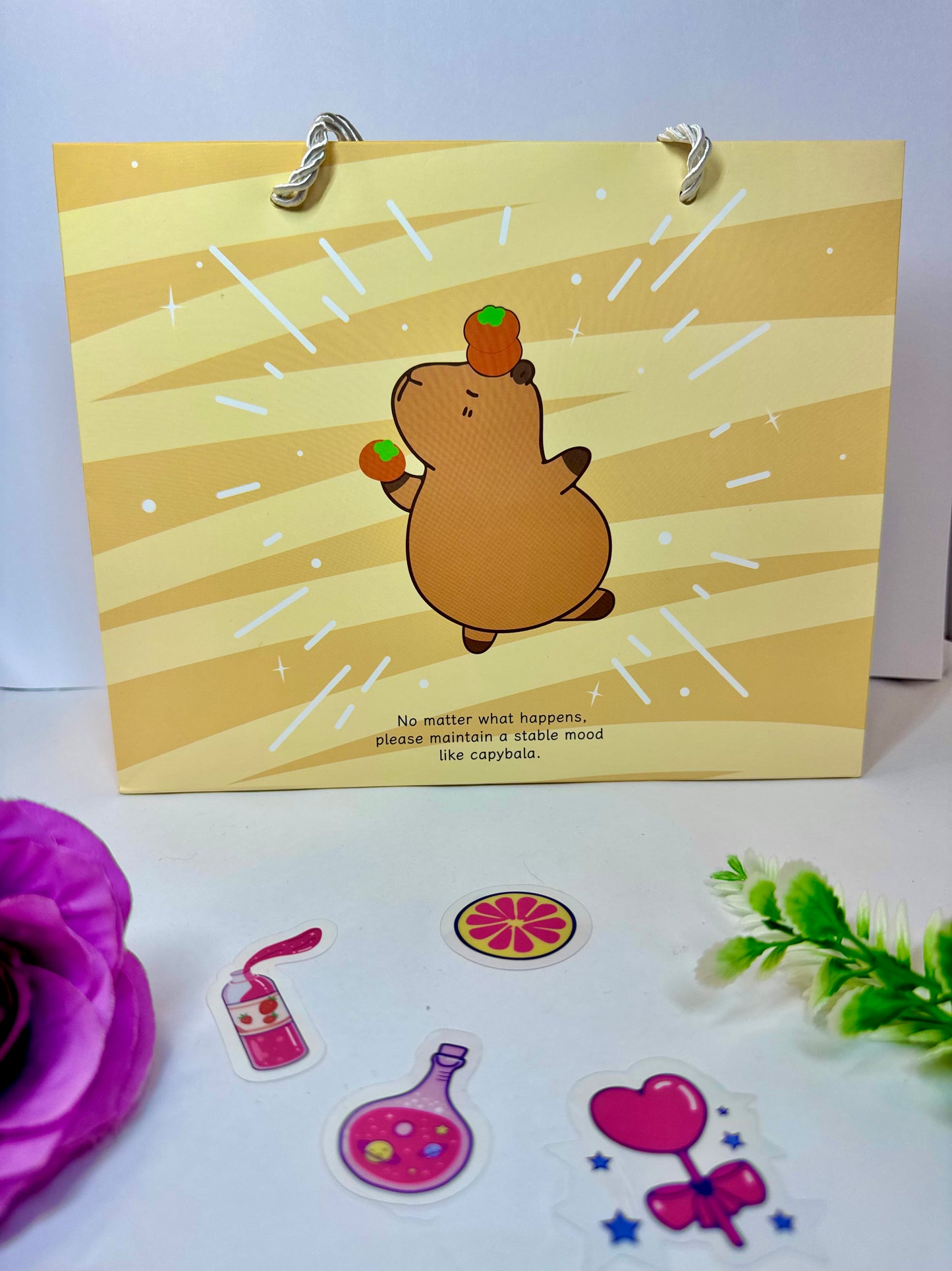 Bolsa de Regalo Capibara Pequeña